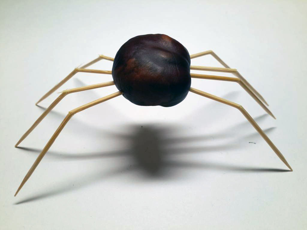Поделки из природного материала осень паук: идеи по изготовлению своими руками (41 фото)